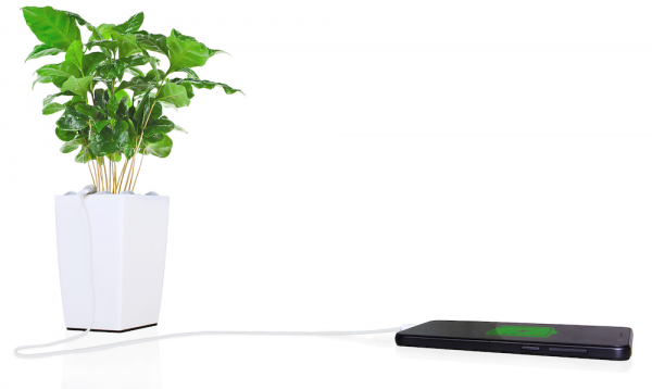 Recharger son iPhone avec une plante